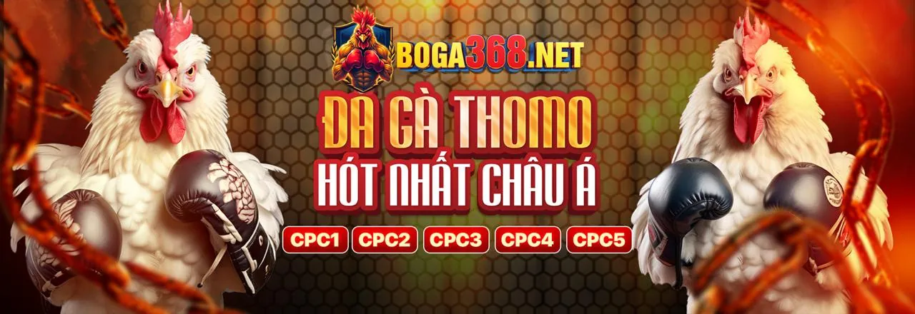 Sân vận động với trận đấu bóng đá đang diễn ra, ánh đèn rực rỡ và không khí sôi động